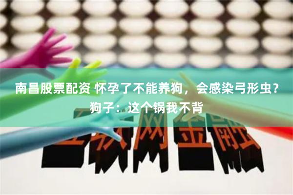 南昌股票配资 怀孕了不能养狗，会感染弓形虫？狗子：这个锅我不背
