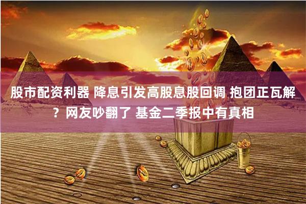 股市配资利器 降息引发高股息股回调 抱团正瓦解？网友吵翻了 基金二季报中有真相