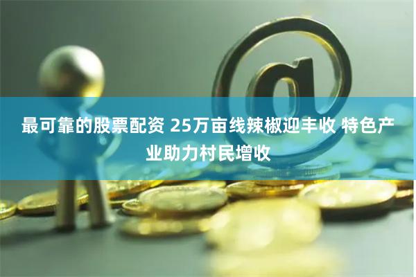 最可靠的股票配资 25万亩线辣椒迎丰收 特色产业助力村民增收