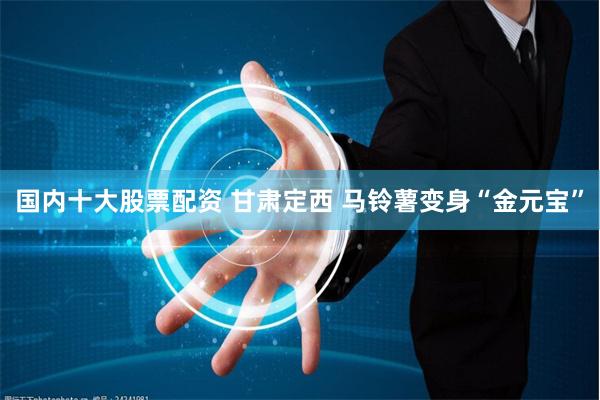 国内十大股票配资 甘肃定西 马铃薯变身“金元宝”