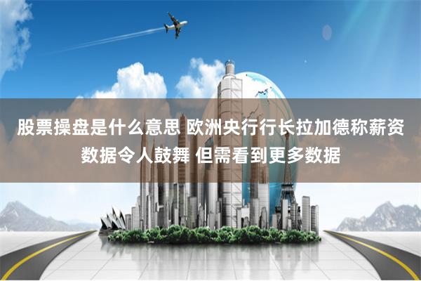 股票操盘是什么意思 欧洲央行行长拉加德称薪资数据令人鼓舞 但需看到更多数据