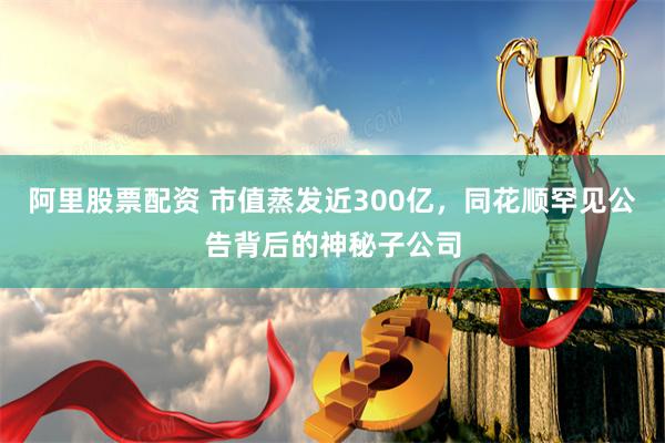 阿里股票配资 市值蒸发近300亿，同花顺罕见公告背后的神秘子公司