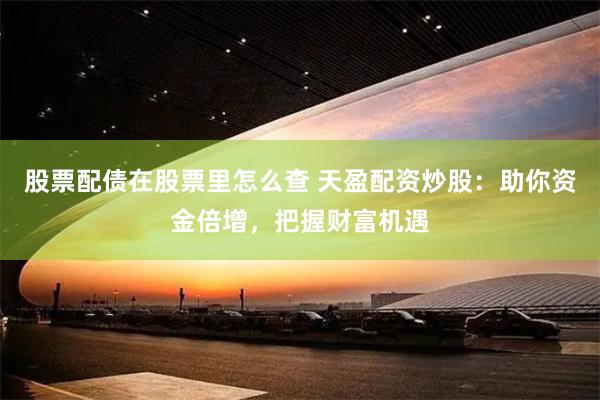 股票配债在股票里怎么查 天盈配资炒股：助你资金倍增，把握财富机遇
